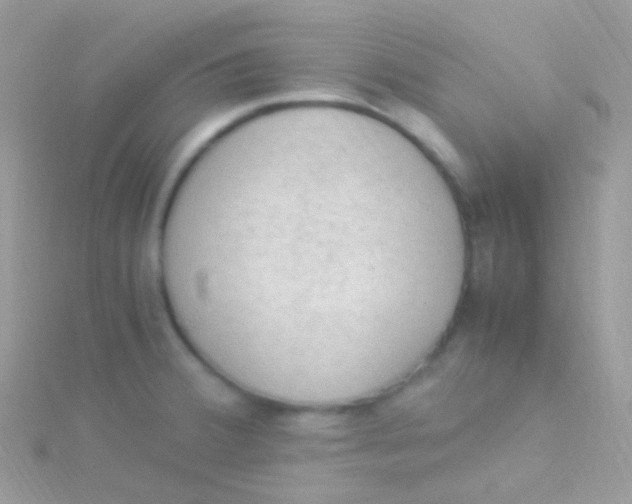 X0000115061380200911231205