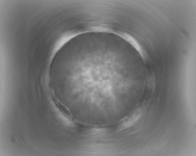 X0000115061381200911231205