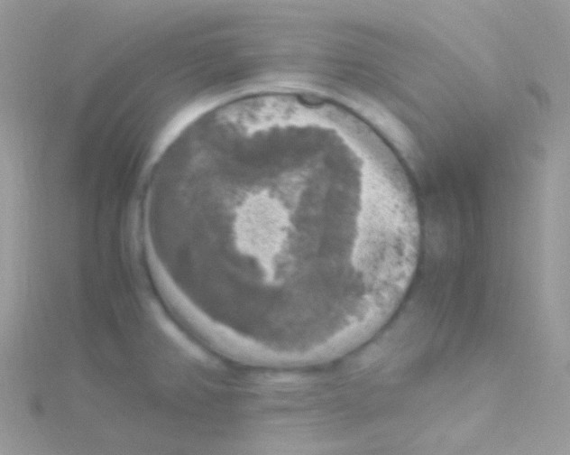 X0000115061382200911231205