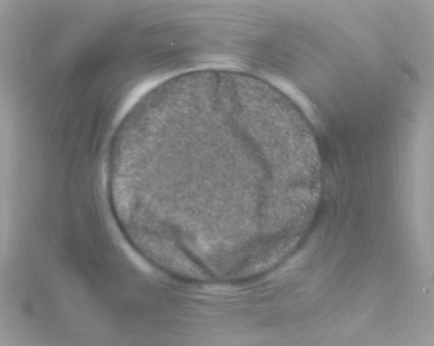 X0000115061383200911231205