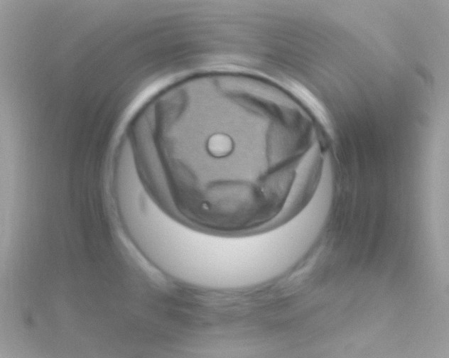 X0000115061384200911231205