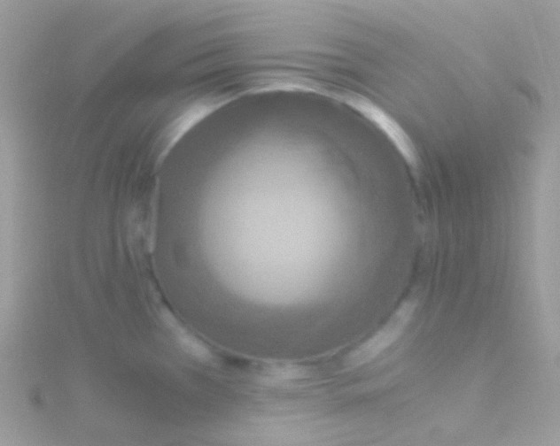 X0000115061385200911231205