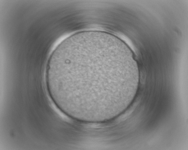 X0000115061387200911231205