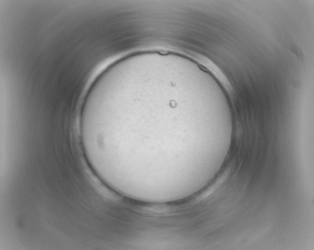 X0000115061388200911231205