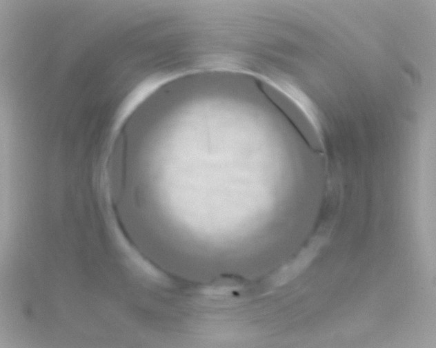 X0000115061389200911231205