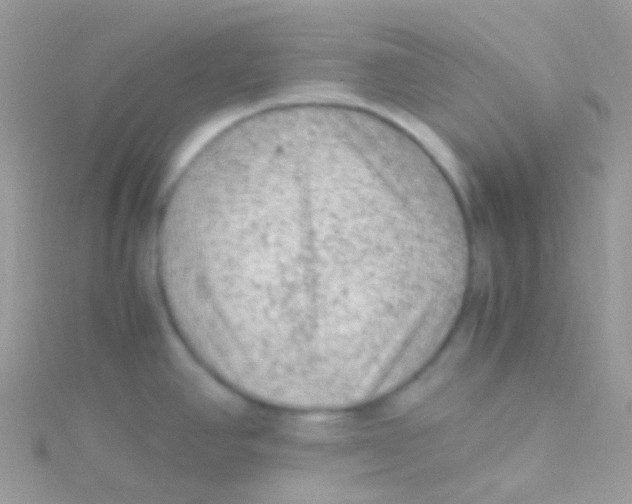 X0000115061390200911231205