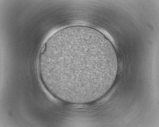 X0000115061391200911231205