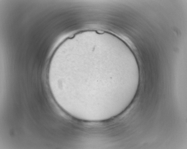 X0000115061392200911231205