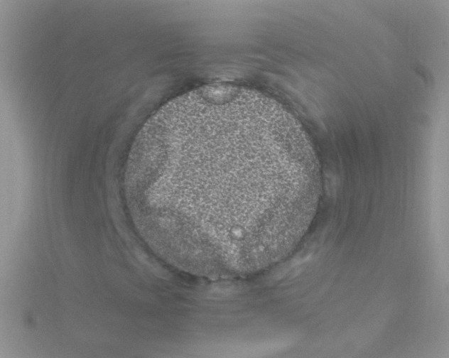 X0000115061393200911231204