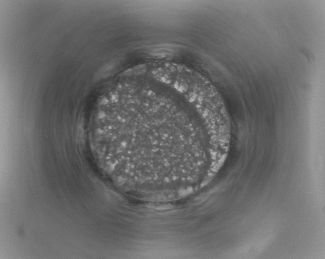 X0000115061394200911231204