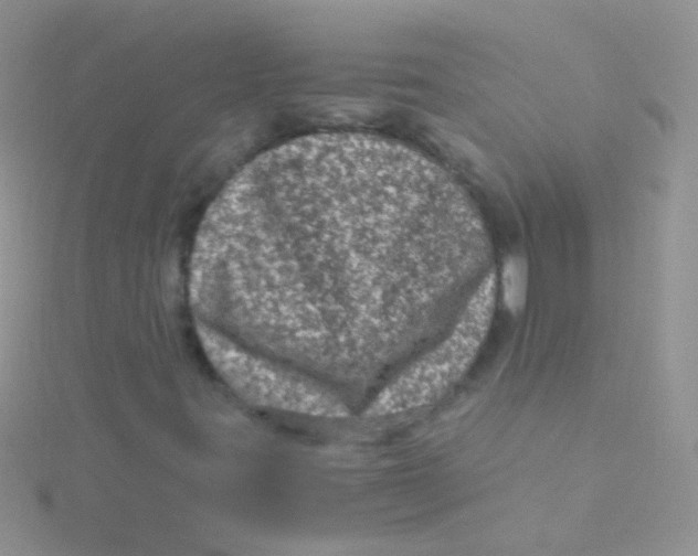 X0000115061395200911231205