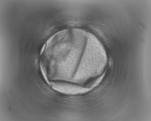 X0000115061396200911231205