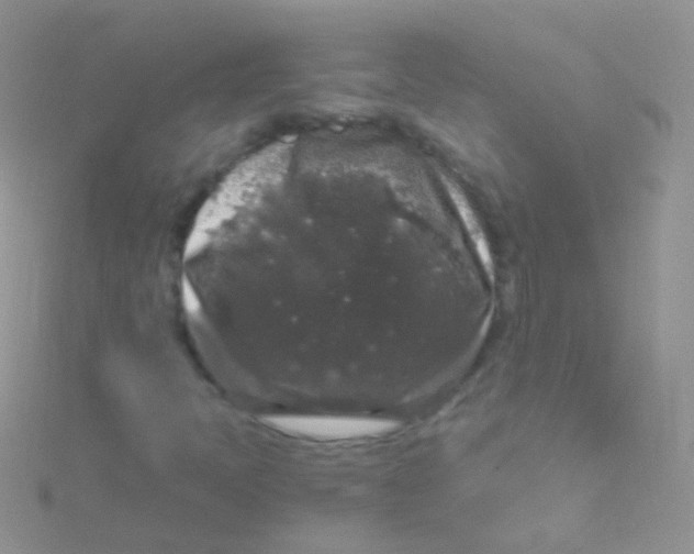 X0000115061397200911231205