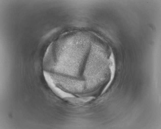 X0000115061398200911231205