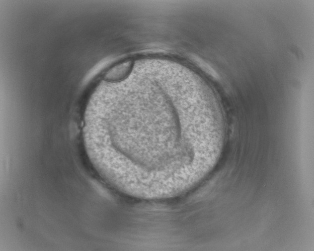 X0000115061400200911231205