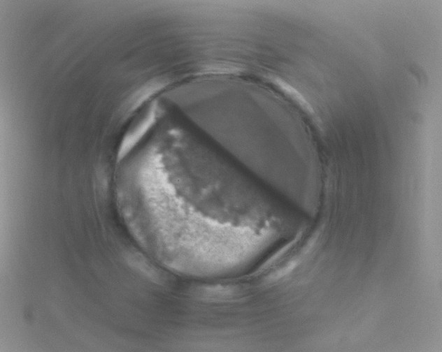 X0000115061401200911231205