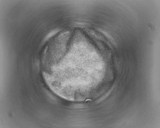 X0000115061402200911231205