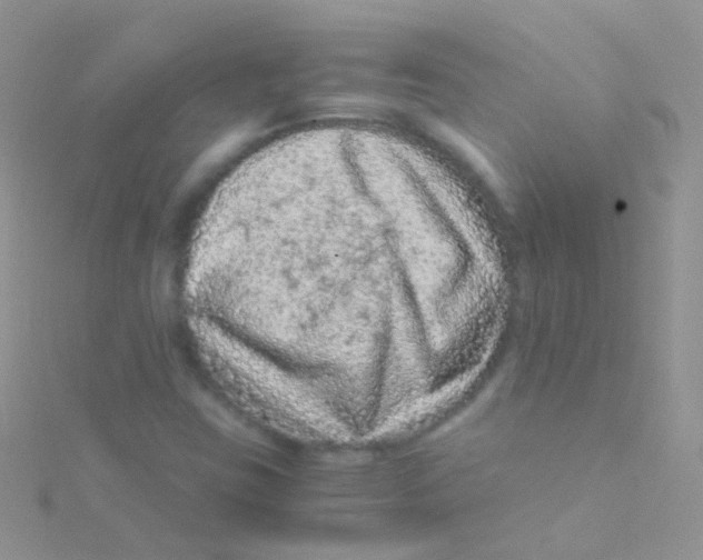 X0000115061403200911231205