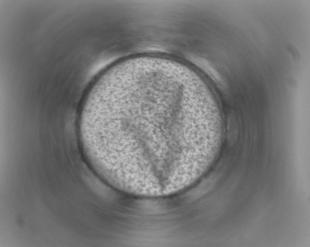 X0000115061404200911231205