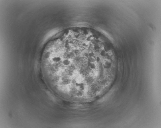 X0000115061405200911231205