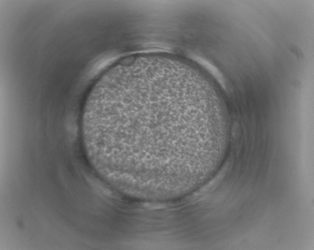 X0000115061407200911231205