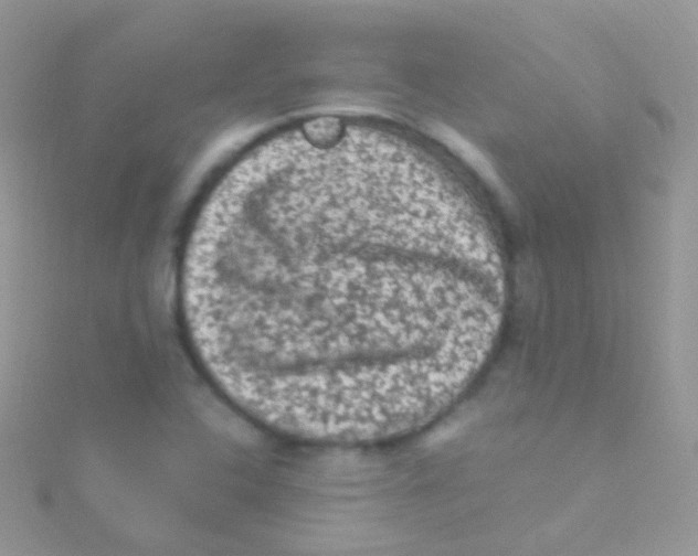 X0000115061408200911231205