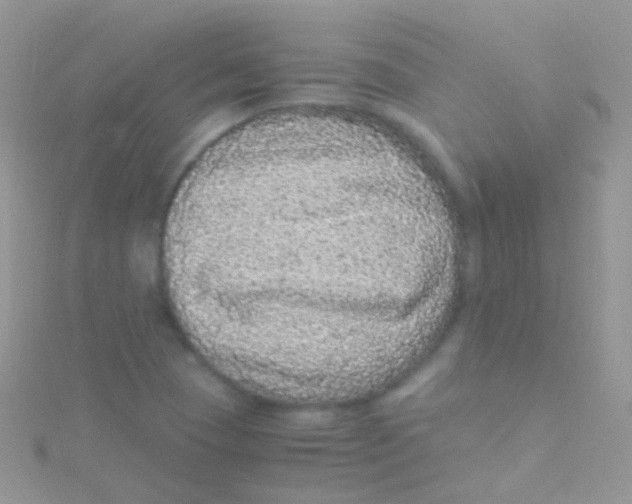 X0000115061409200911231205