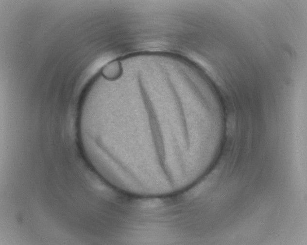 X0000115061410200911231205