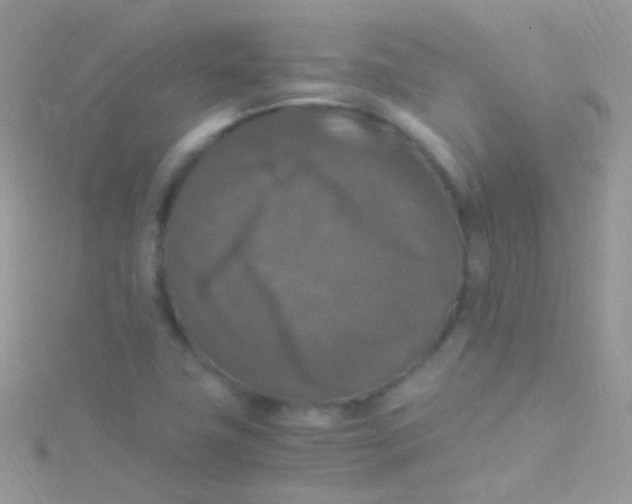 X0000115061411200911231205