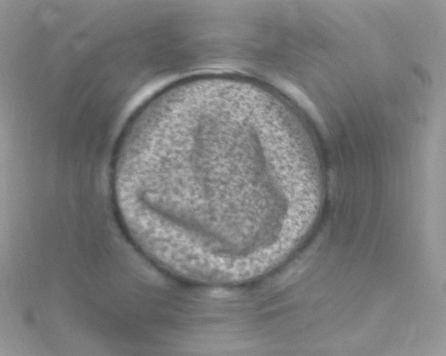 X0000115061412200911231205