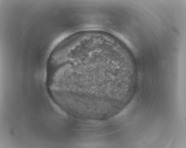 X0000115061413200911231205