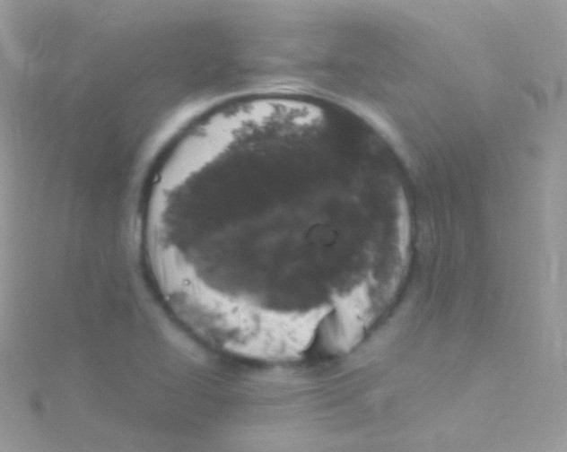 X0000115061414200911231205