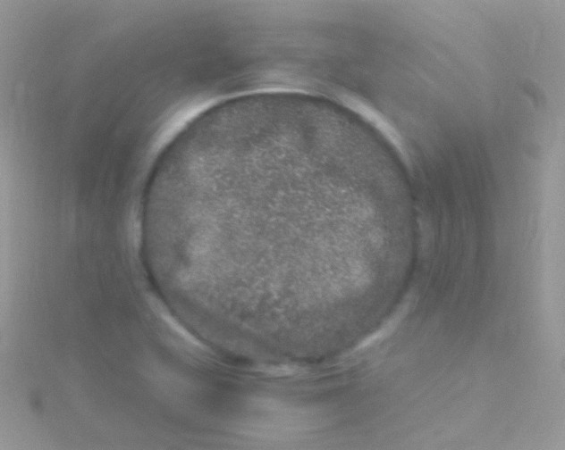 X0000115061415200911231205