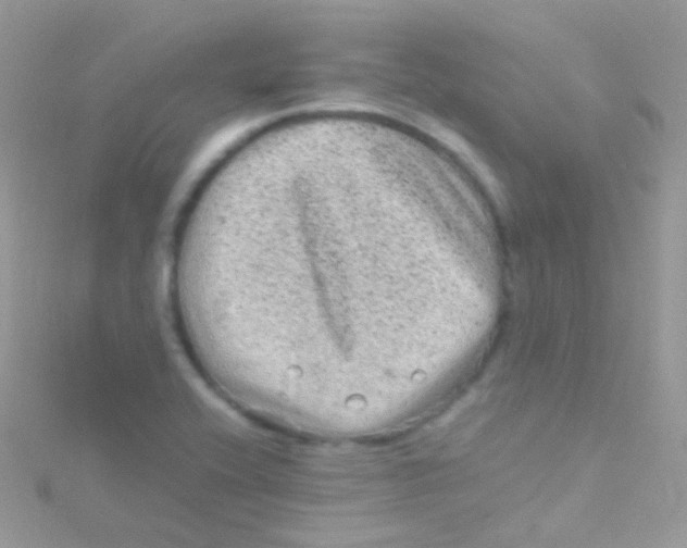 X0000115061416200911231205