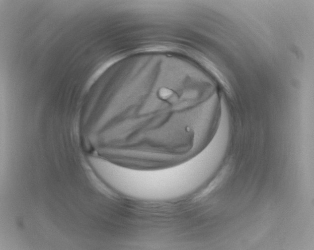 X0000115061417200911231205