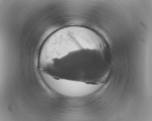 X0000115061418200911231205