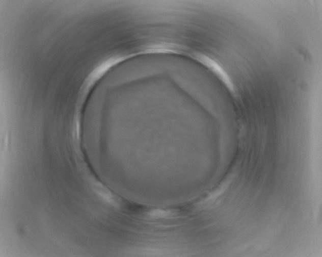 X0000115061419200911231205