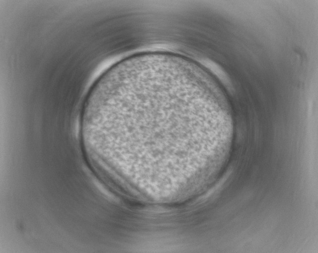 X0000115061420200911231205