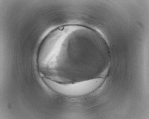 X0000115061422200911231205