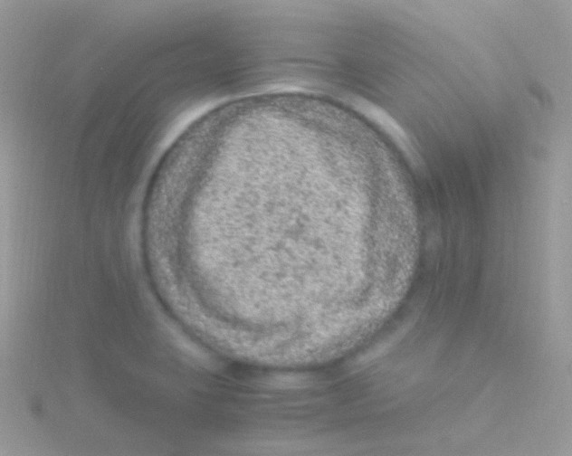 X0000115061423200911231205