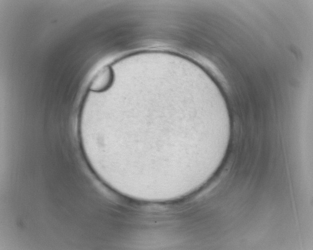 X0000115061424200911231205