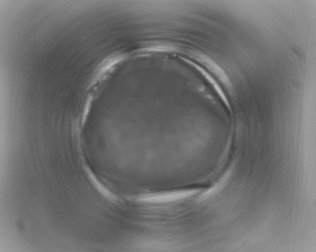 X0000115061425200911231205