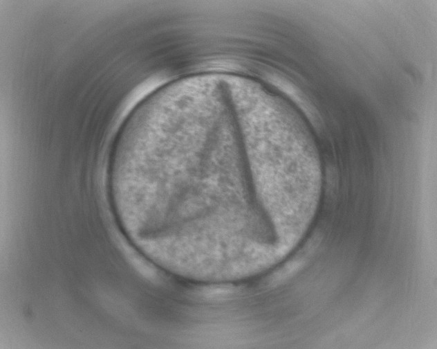 X0000115061426200911231205