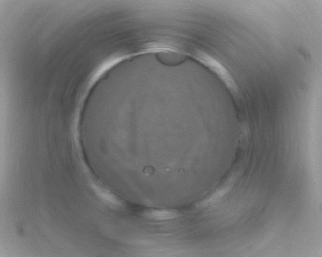 X0000115061427200911231205