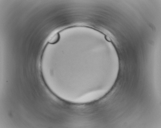 X0000115061428200911231205