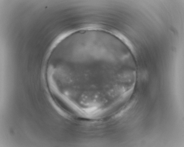 X0000115061429200911231205