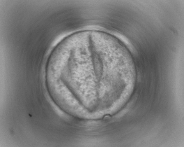 X0000115061430200911231205