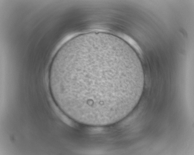 X0000115061431200911231205