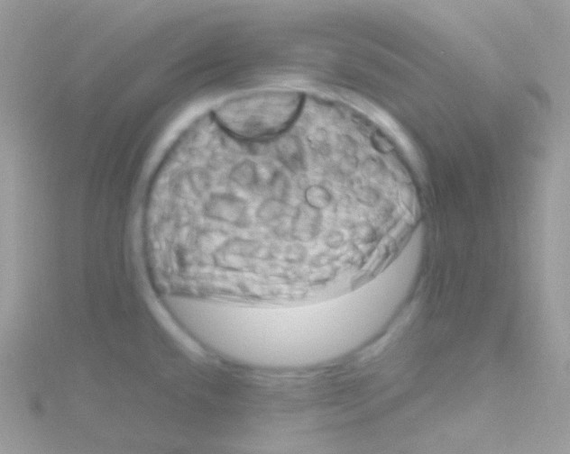 X0000115061432200911231205