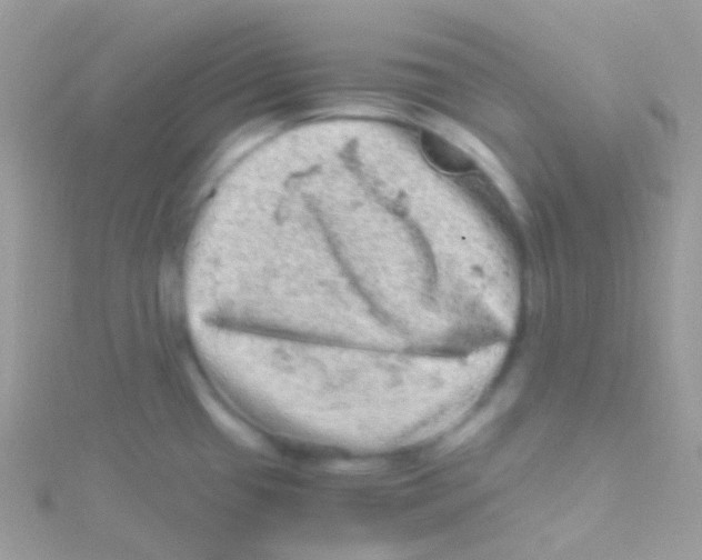 X0000115061433200911231205